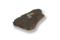 M 07510
<br/>
schilfer van laaggradige Bruinkool met duidelijke plantenresten
<br/>
<em></em>